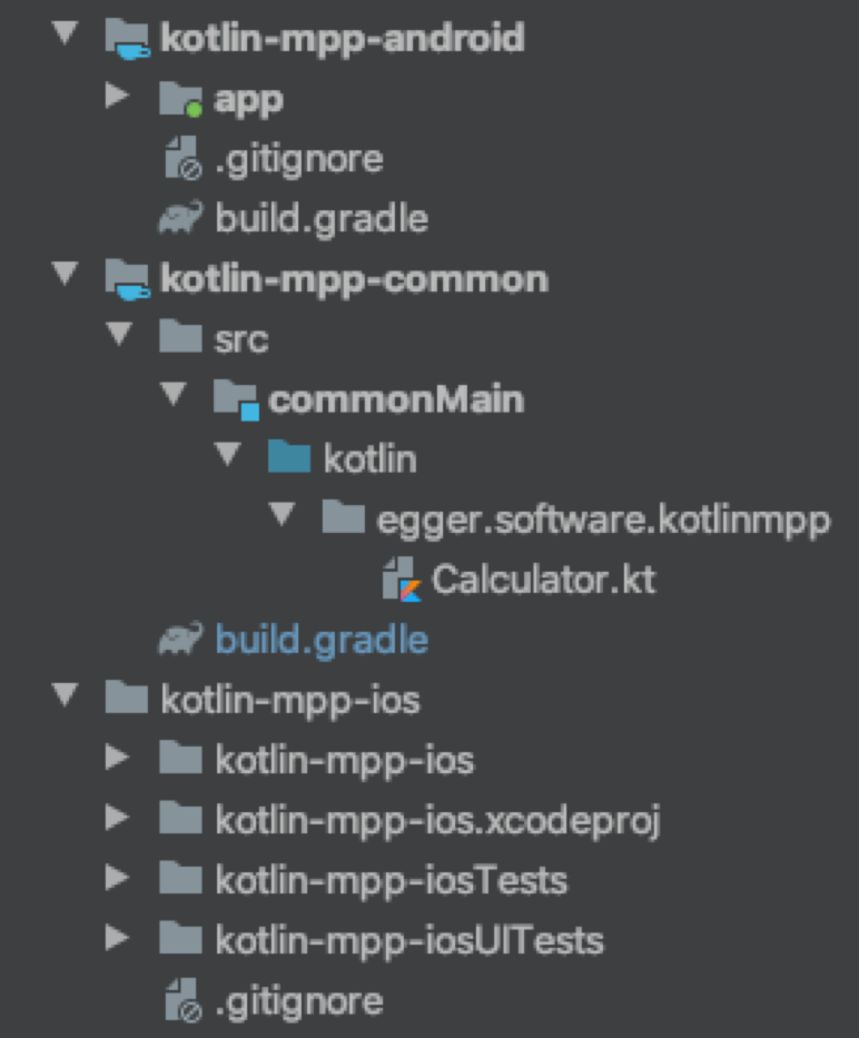 Project Layout